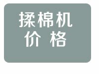 ޻۸ ޱĥ۸